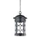 Designers Fountain Ellington 1-Light Oil Rubbed Bronze Outdoor Hanging Lamp with Metal Cage Shade 31134-ORB - alternate 1